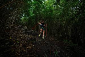 BIB: 
                            <button type="button" onclick="openModal(25102367)" class="btn btn-primary btn-sm float-right btn-popup" data-toggle="modal" data-target=".modal-high-quality">
                        <i class="fas fa-shopping-cart"></i> Add to Cart
                    </button>
                                            <button type="button" onclick="isThisMe(25102367, true)" class="btn btn-success btn-sm float-right btn-popup btn-isme hidden" data-toggle="tooltip" data-placement="bottom" title="นี่คือรูปของคุณใช่ไหม คลิกที่นี่เพื่อเอาเข้าอัลบั้ม">
                        <i class="fas fa-plus"></i> Add to album
                    </button>
                    <button type="button" onclick="isThisMe(25102367, false)" class="btn btn-warning btn-sm float-right btn-popup btn-isnotme hidden">
                        <i class="fas fa-ban"></i> Remove from album
                    </button>